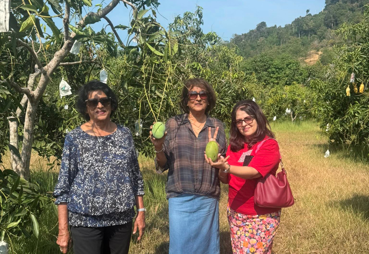 Three adults stand in an orchard on a sunny day, with two holding green mangoes and one making a peace sign, surrounded by trees and hills in the background.
Description generated by AI