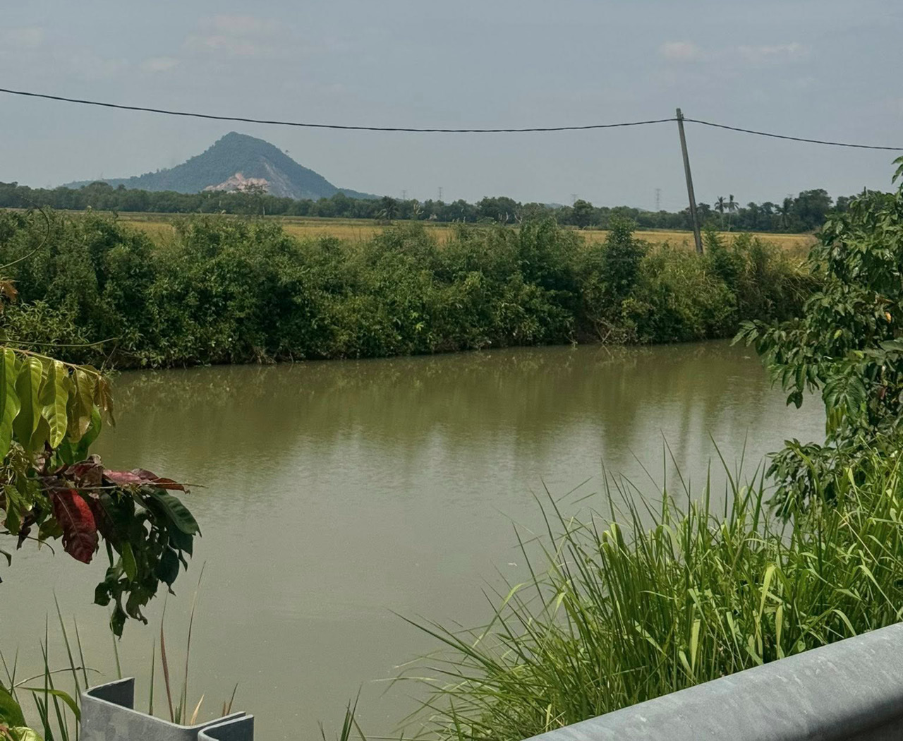A calm river flows through a green landscape with bushes and grass on its banks, a distant hill under a partly cloudy sky, and power lines crossing the scene.
Description generated by AI