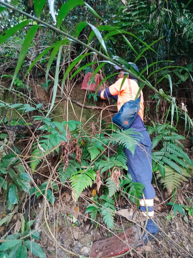 A person wearing a high-visibility shirt and blue pants is standing on a forested slope, reaching up to place or inspect a small red box attached to a tree.
Description generated by AI