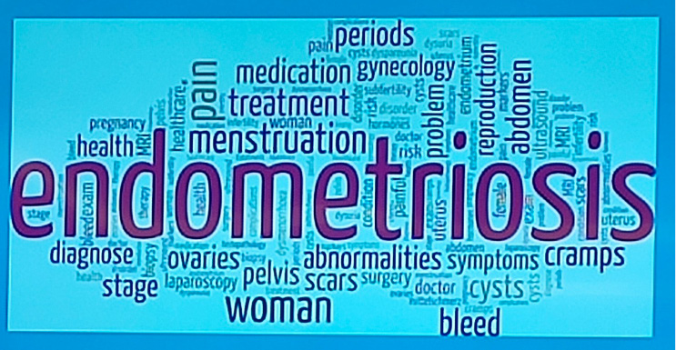 A word cloud centered around the term endometriosis with related words like menstruation, treatment, pelvic, cramps, symptoms, medication, and reproduction in various sizes and colors on a blue background.
Description generated by AI